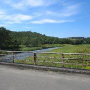 美瑛の町の川