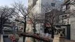 整備された公園