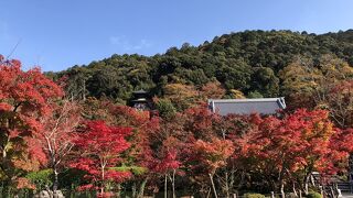 とてもいい感じでした！