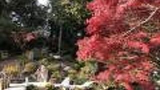 広いですが。。