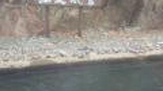 和歌山の名所　川の温泉