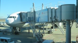 ビッグバードになってました