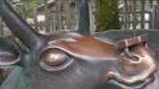 今は触っちゃダメ