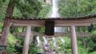 鳥居を過ぎると那智の滝