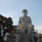 兵庫大仏で有名なお寺です。