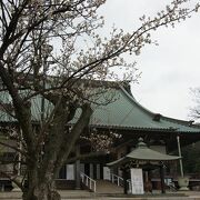 箱根駅伝で有名な坂の脇に建つ名刹