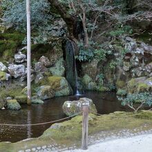 奥まった所にある小さな滝