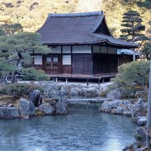 この日は寒く、池が凍っていた