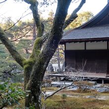 禅宗様の庭が取り囲む