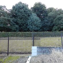 淳和天皇火葬塚