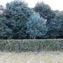 淳和天皇火葬塚