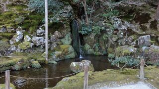 山からの水