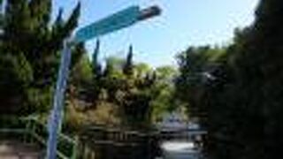 散歩が楽しくなります