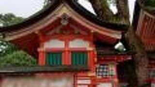 社殿が無くて楠の木が本体