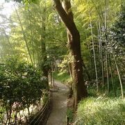 竹林の散歩道
