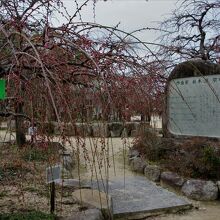 楼門そばの梅林