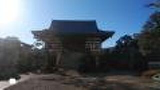 広い境内、立派な山門