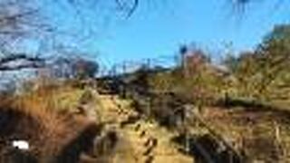 山手線内最高峰の山を擁する広大な公園