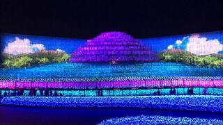 ずっと観ていたい音と光の共演イルミネーション