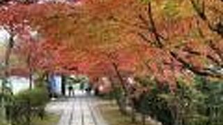 秋の紅葉がとても綺麗でした。