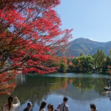 ちょうど紅葉してました