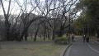 よいコースだと思います