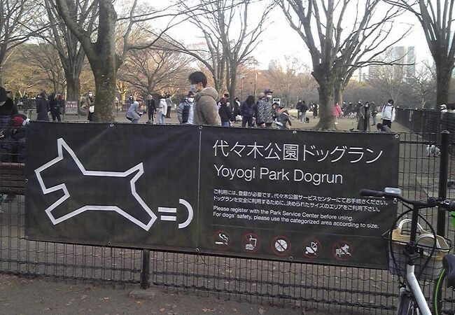 代々木公園ドッグラン クチコミ アクセス 営業時間 代々木 フォートラベル 代々木公園ドッグラン クチコミ アクセス 営業時間 代々木 フォートラベル