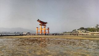 嚴島神社大鳥居まで歩いて