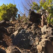 鳩森八幡神社内の富士山