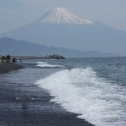 富士山を一望する海岸です。