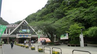 春の木々の芽吹きをお伝える「高尾山若葉まつり」