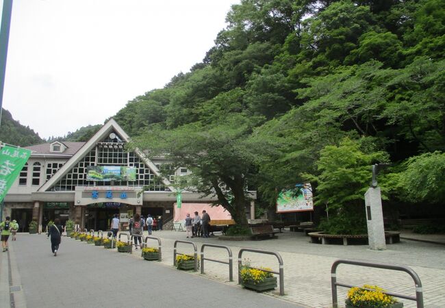 春の木々の芽吹きをお伝える「高尾山若葉まつり」