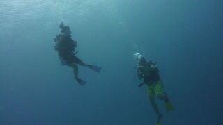 ブルーホールでダイビング