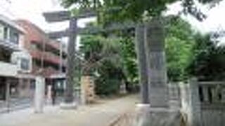 新井薬師梅照院の近く