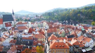 見て回るだけでも可愛い