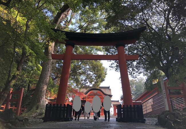 宇佐神宮 宇佐鳥居 クチコミ アクセス 営業時間 宇佐 豊後高田 フォートラベル 宇佐神宮 宇佐鳥居 クチコミ アクセス 営業時間 宇佐 豊後高田 フォートラベル