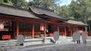 案内板が出ていました