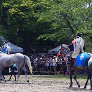 相馬小高神社での馬懸