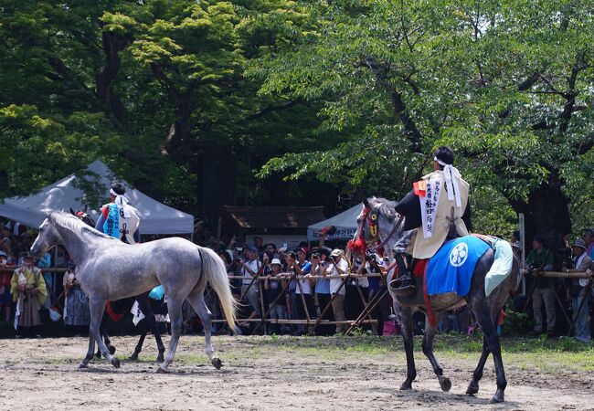 相馬小高神社での馬懸