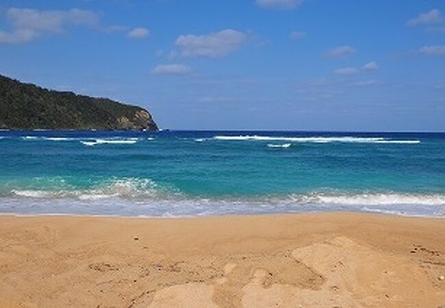 国直海岸 クチコミ アクセス 営業時間 奄美大島 フォートラベル