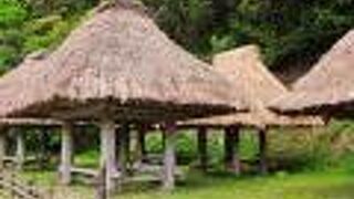 県道７９号線沿い