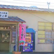 花見の季節　朝が勝負！　（駅前駐車場310円/1日）