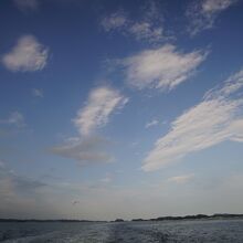 松島湾観光船クルーズ