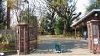 住宅街の中の小さな森林地帯