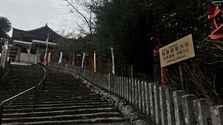 階段上り体力が入ります