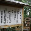 椎葉村十根川神社の指定天然記念物八村杉