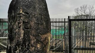 保護育成を目的