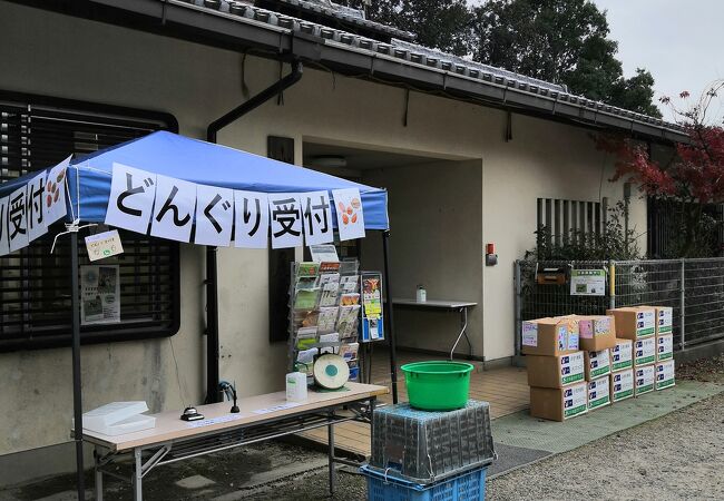 奈良の鹿愛護会資料展示室 クチコミ アクセス 営業時間 奈良市 フォートラベル