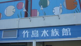 古い水族館ですが、熱気はすごかったです。