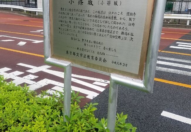 篠と書いて笹と同じ読み・意味